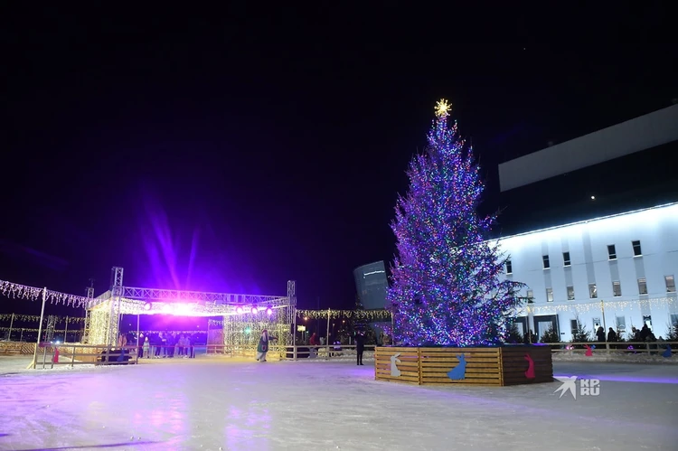 В «Екатеринбург-Экспо» начали готовить главную елку города. Рассказываем, что там будет интересного