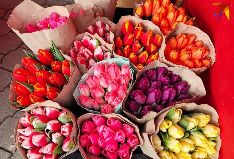 Купить Тюльпаны на 8 марта с доставкой | Заказать цветы дешево в магазине Iziflo
