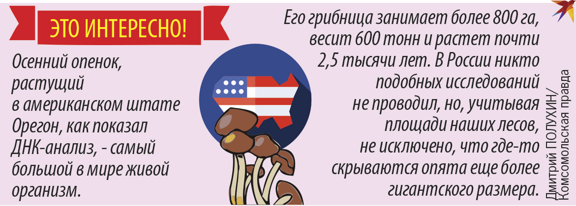 Je zajímavé,
