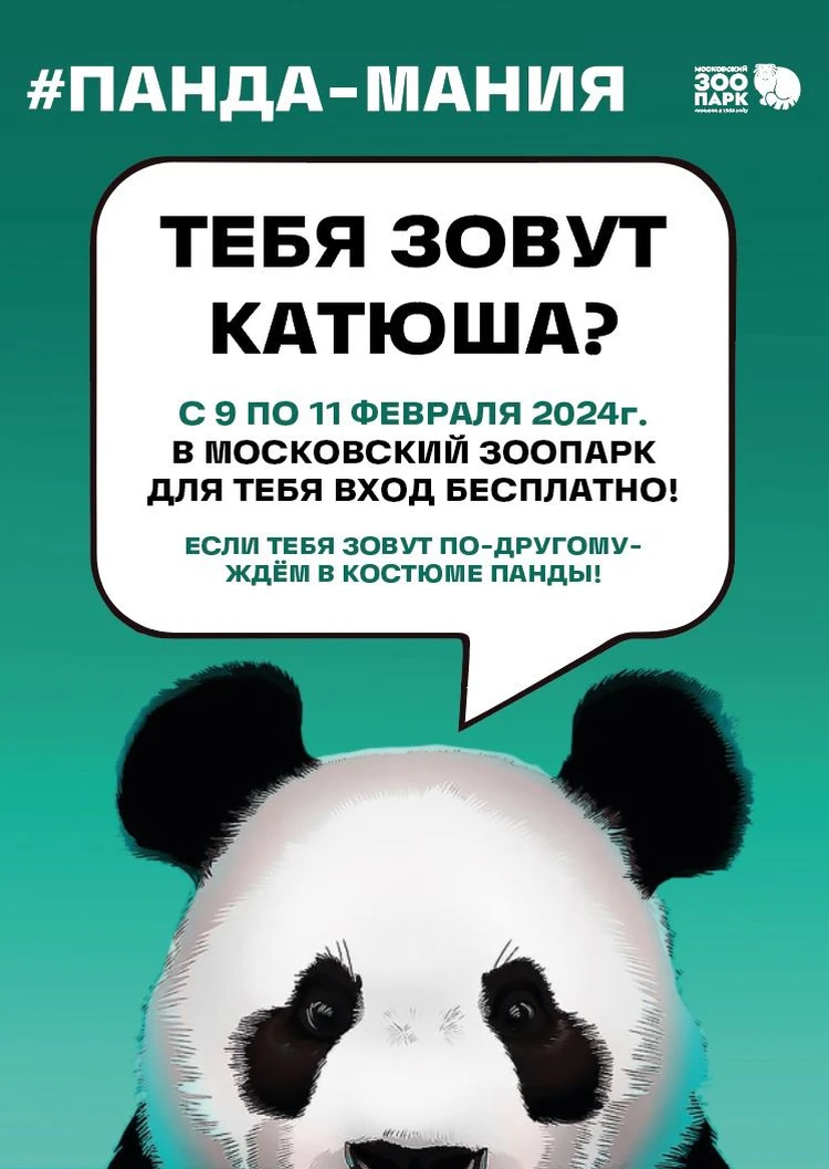 Пандамания в Московском зоопарке: животных можно посмотреть бесплатно -  KP.RU