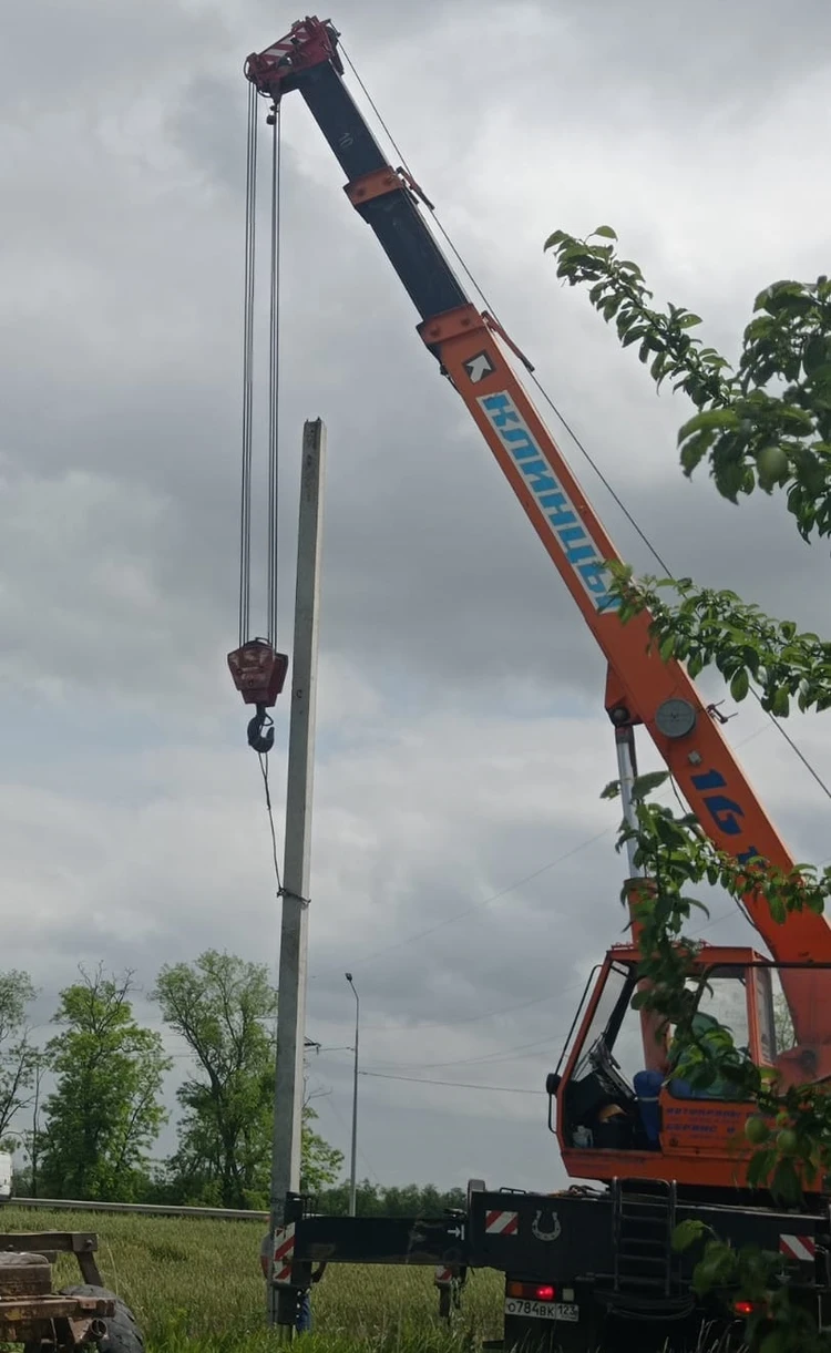 Старое гнездо сдуло ветром, птенцы погибли»: Семью краснокнижных аистов  спасают жители целого поселка на Кубани - KP.RU