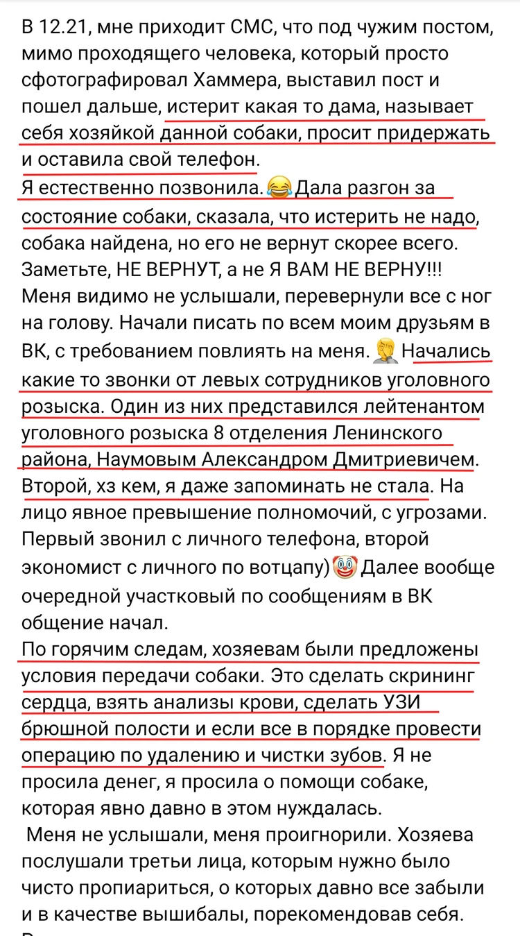 Полиция отказалась возвращать бабушке кота: правоохранительные органы по  всей стране устраняются от битвы хозяев с зоозащитниками - KP.RU