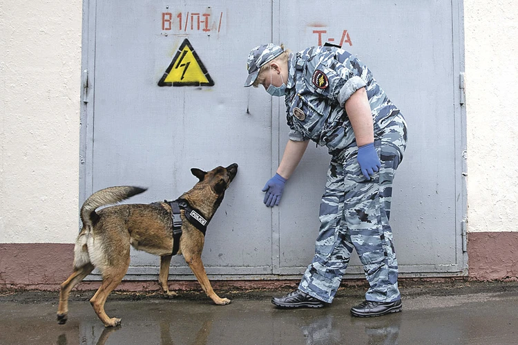 Закладчики "живут" по 2 - 3 месяца»: как устроена прокси-война против России  и кто целенаправленно травит наркоманов - KP.RU