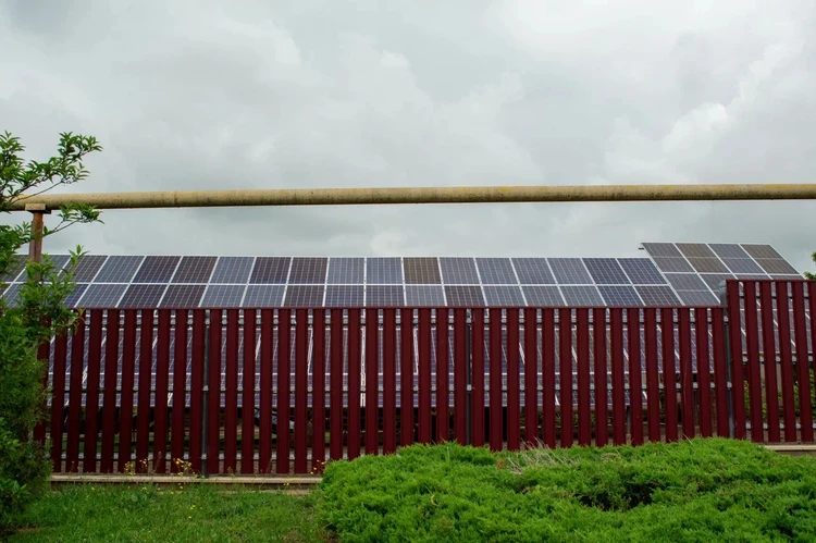 Жалаңаш қарт әйелдер