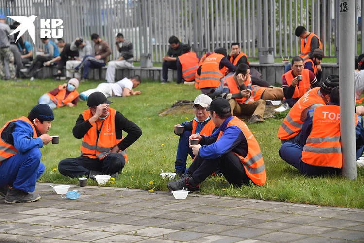 Россия не рассчитывает, что иностранцы будут восполнять население страны