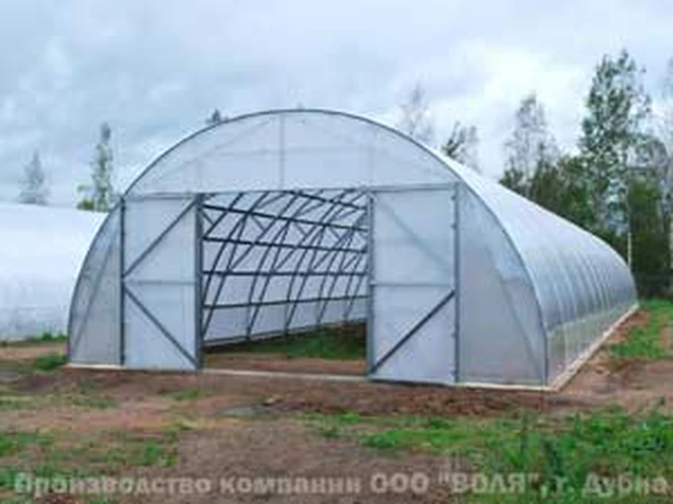 Промышленные Теплицы Поликарбоната Купить