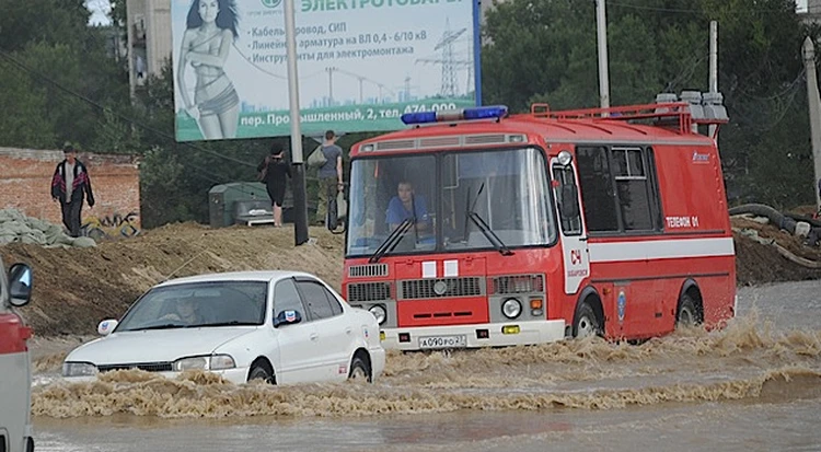 Дорогой мой ботаник