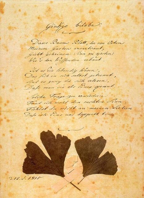 Строчки Гете с листьями гинкго, наклеенными на него самим поэтом, 15 сентября 1815 года.