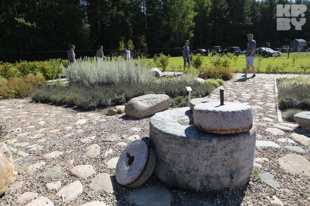 Аптекарский сад.