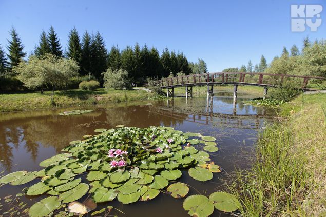 Дендросад - очень красивое место для прогулок.