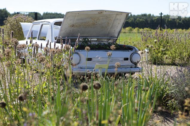 Дендросад - очень красивое место для прогулок.