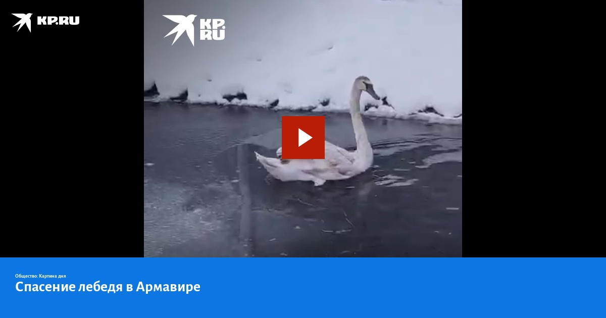 Репортаж спортивная школа