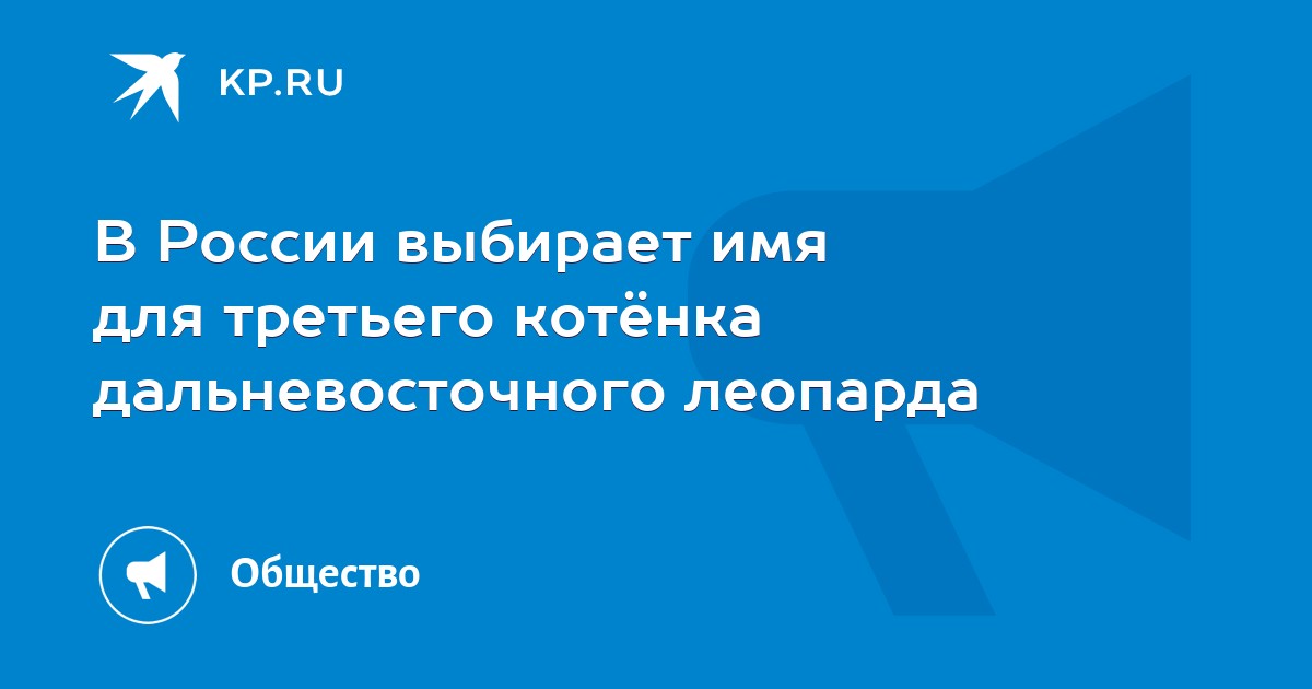 В России выбирает имя для третьего котёнка дальневосточного леопарда