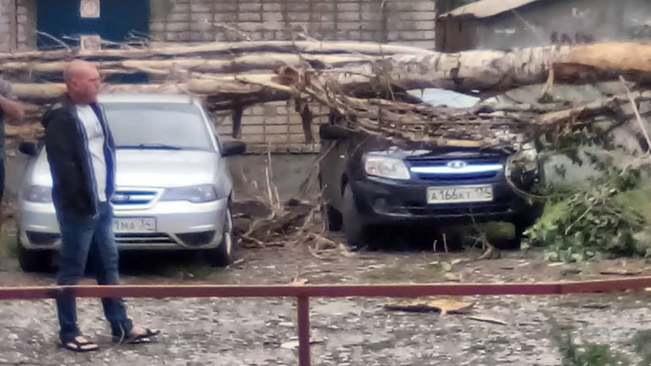 Непогода в Волгограде: альпинисты остановили работы на Родине-матери, ветер  валит деревья на машины - KP.RU