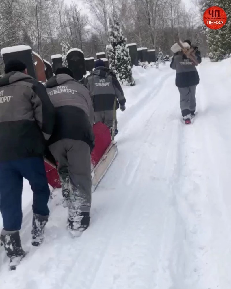 В Пензе уволили директора кладбища, где из-за снежных завалов гроб пришлось  везти на санках - KP.RU